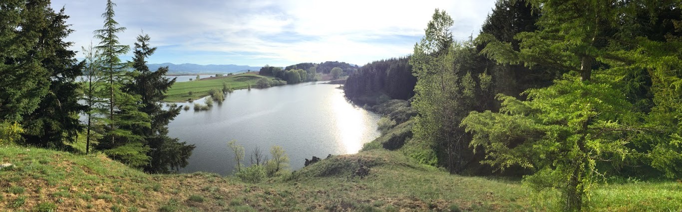 Lago tra i boschi