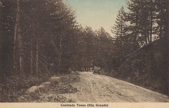 Contrada Tasso (Sila Grande)