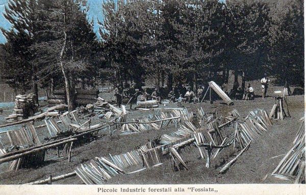 Piccole industrie forestali alla «Fossiata»