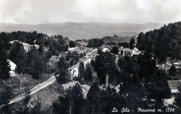 La Sila, Moccone m. 1300